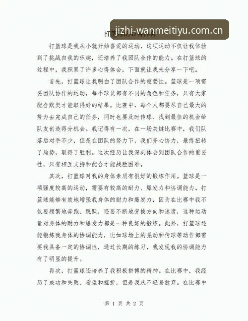 五年老用户亲述：完美体育入口使用心得与实战经验分享